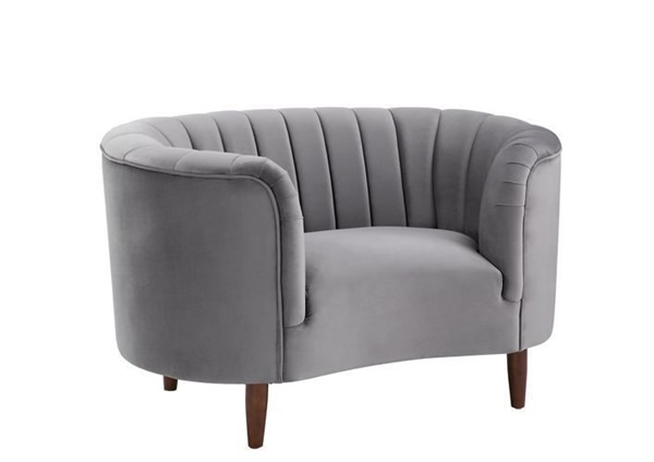 Millephri Modern Sofa Set in Gray